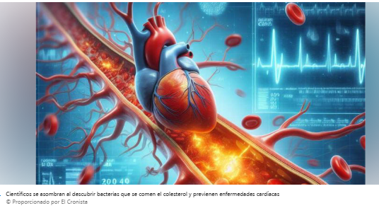 Científicos se asombran al descubrir bacterias que se comen el colesterol y previenen enfermedades cardíacas